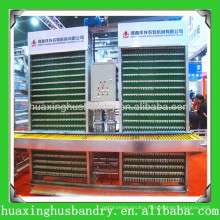 Hot Salable High Quality Automatic Egg Collecting System